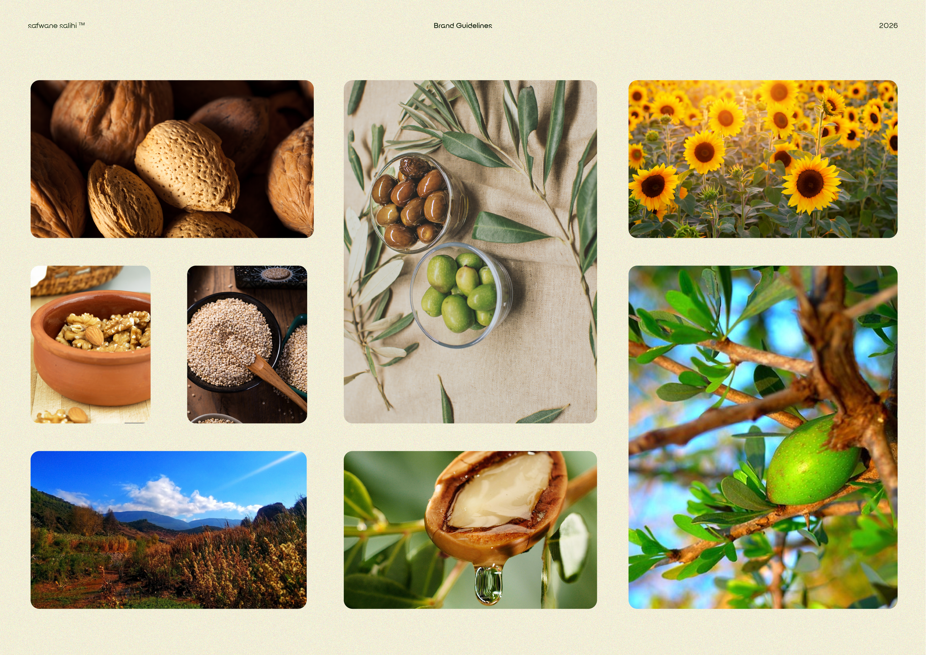Aghrum - Charte graphique — visuel 4